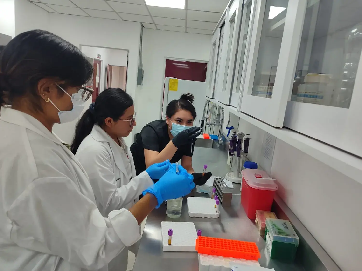 Verano de investigación